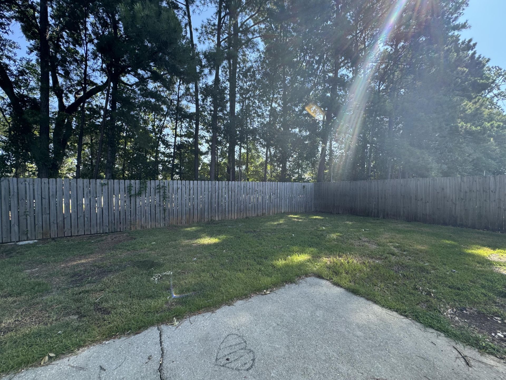 218 Wildberry Lane Photo 10