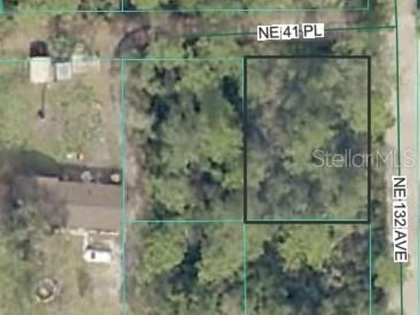 NE 41ST PLACE, SILVER SPRINGS, FL 34488
