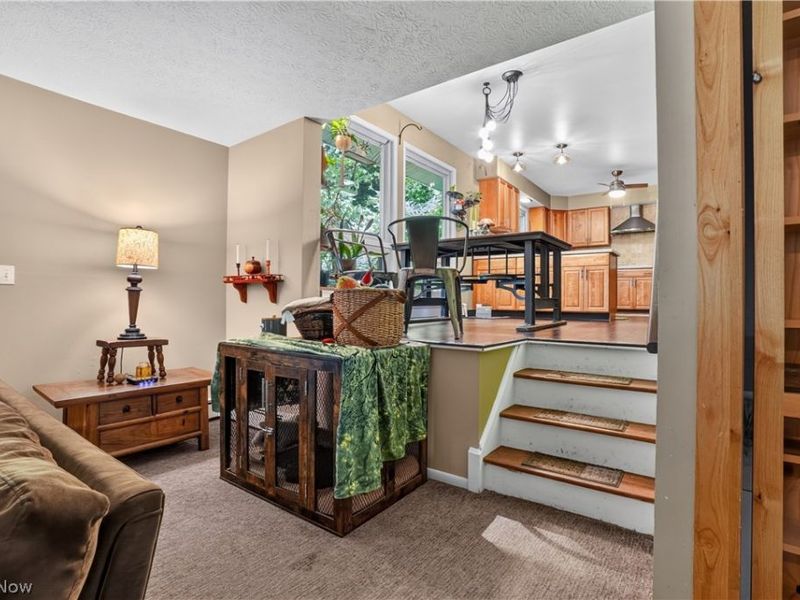 10270 Music Street, Novelty, OH 44072 Photo 25