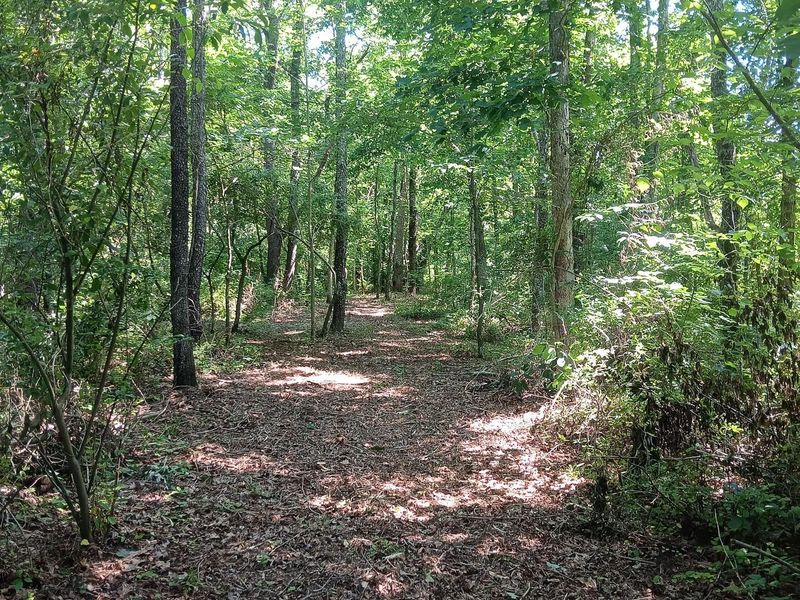 0 Ohio 160, Unit (14 Acre R, Wilkesville, OH 45695 Photo 10