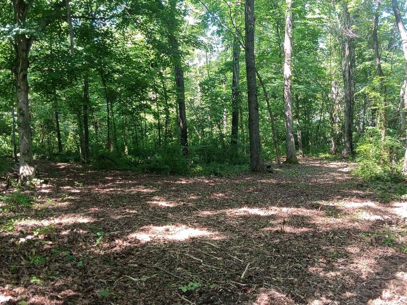 0 Ohio 160, Unit (14 Acre R, Wilkesville, OH 45695 Photo 11