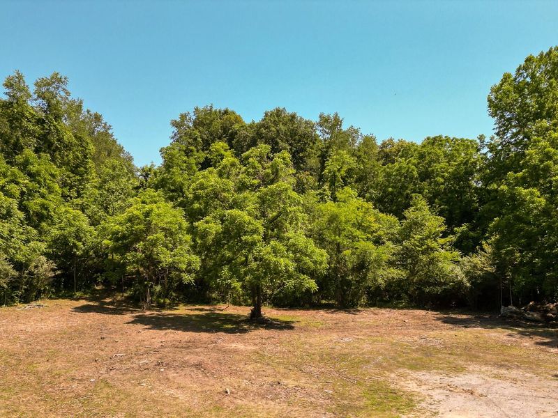 0 Ohio 160, Unit (14 Acre R, Wilkesville, OH 45695 Photo 16