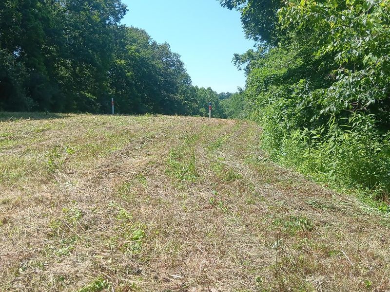 0 Ohio 160, Unit (14 Acre R, Wilkesville, OH 45695 Photo 9