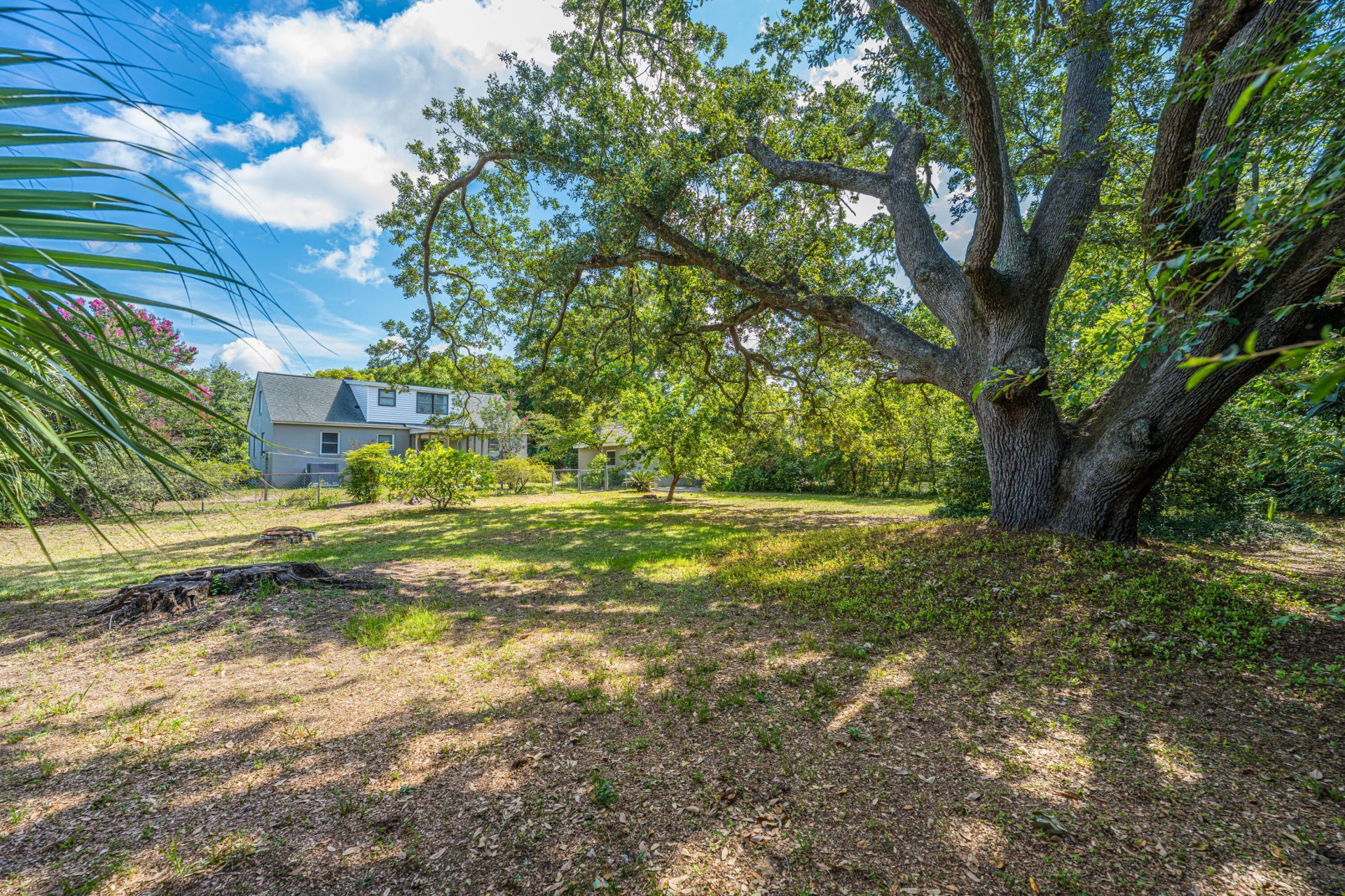 279 Hawthorne Street Photo 31