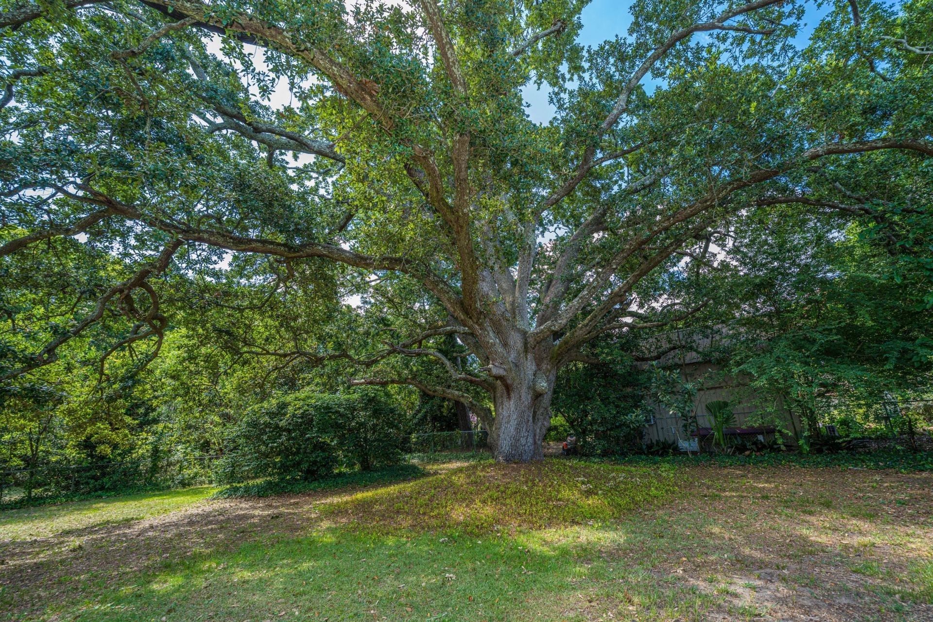 279 Hawthorne Street Photo 32