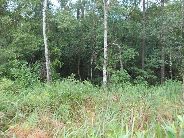 0 Boothtown Road, Citronelle, AL 36522