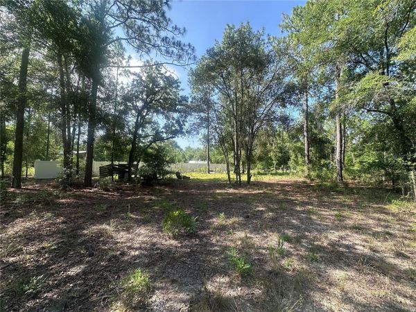 TBD NE 3RD PLACE , WILLISTON, FL 32696