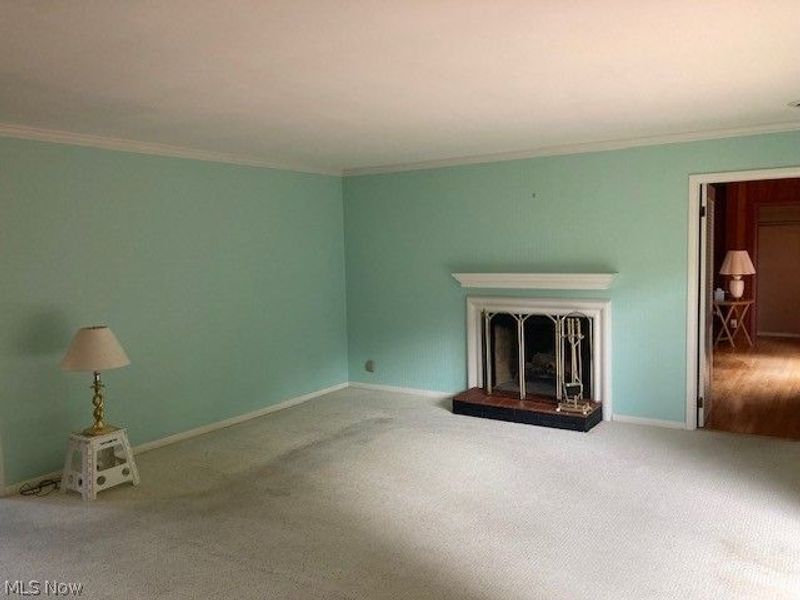 8770 Squirrel Hill, Warren, OH 44484 Photo 8