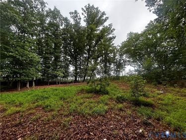 0 Mt Nebo Road , Barhamsville, VA 23011