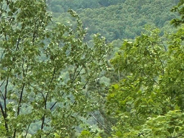 1501 Old State Road , Binghamton, NY 13904