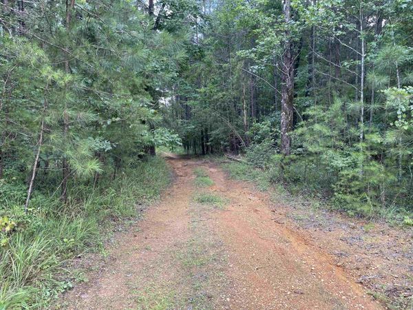 0 Co Rd 24, Eldridge, AL 35554