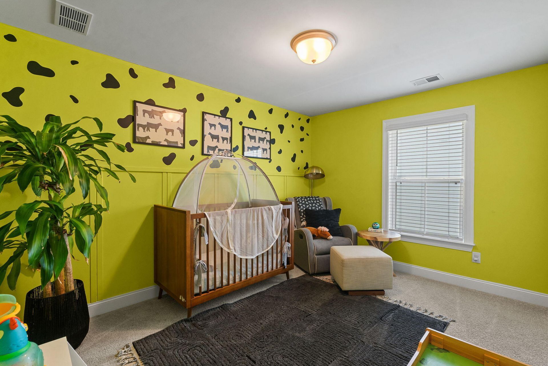 109 Riley Farms Court Photo 46