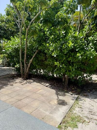 301 S M Street, Unit 1, Lake Worth Beach, FL 33460 Photo