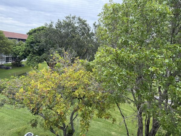 301 SW 135th Avenue, Unit 404c, Pembroke Pines, FL 33027