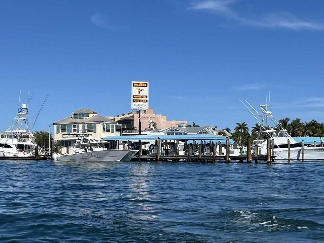 951 Caroline Street, Unit 20, Key West, FL 33040 Photo