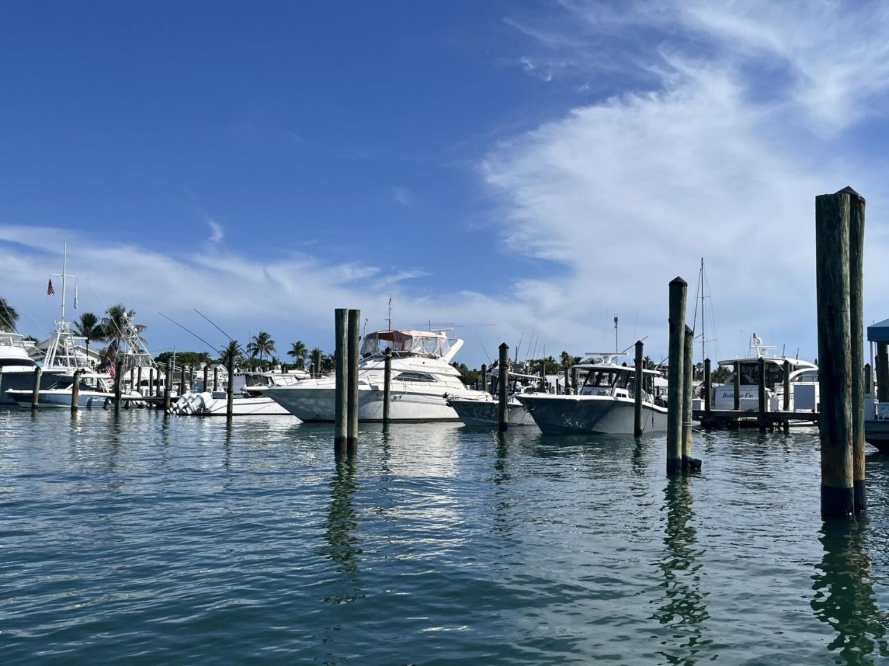 951 Caroline Street, Unit 20, Key West, FL 33040 Photo
