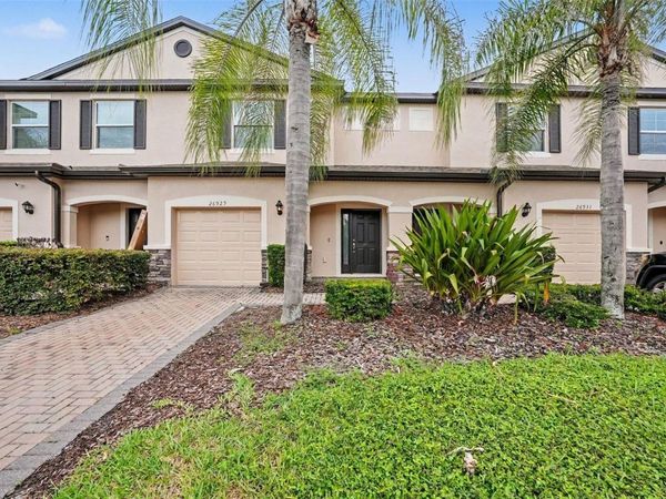 26929 JUNIPER BAY DRIVE , WESLEY CHAPEL, FL 33544
