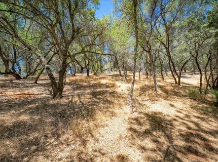 4350 Meadowview Acres Rd, Cool, CA 95614 Photo