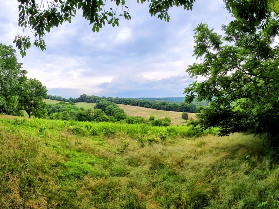 Property Image 34