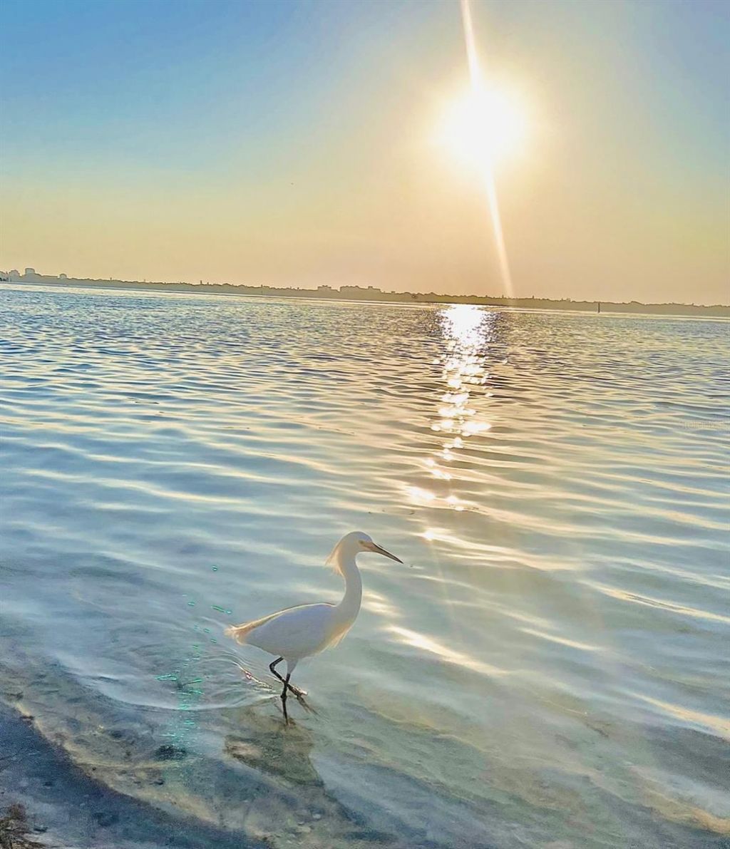 2301 Gulf Of Mexico Drive, Unit 44N, Longboat Key, FL 34228 Photo