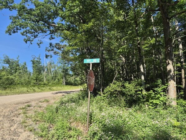 W Pinewood Drive, Roscommon, MI 48653