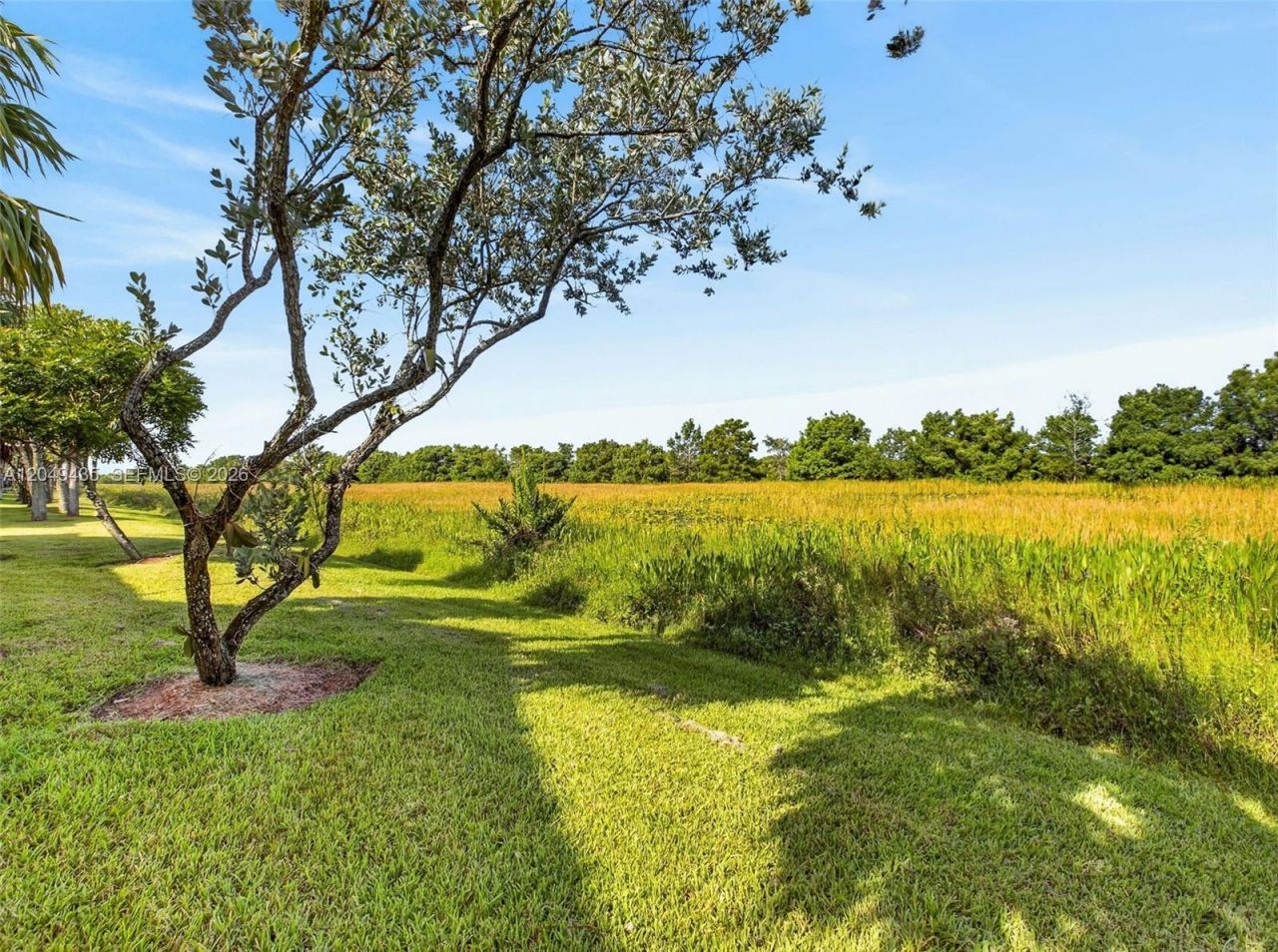 2475 W Cordoba Bnd , Weston, FL 33327 Photo