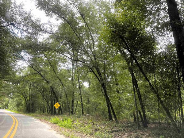 497 McPhaul Road , Chattahoochee, FL 32324