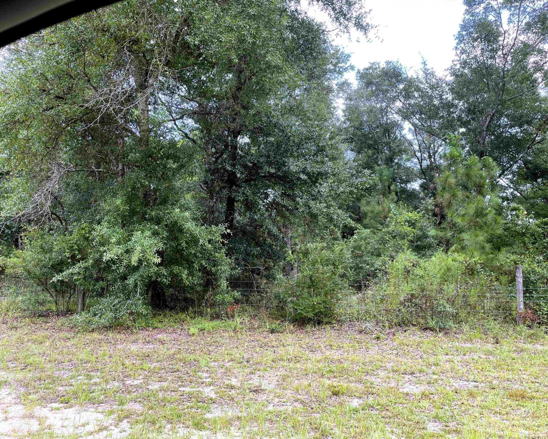 497 Mcphaul Road , Chattahoochee, FL 32324 Photo