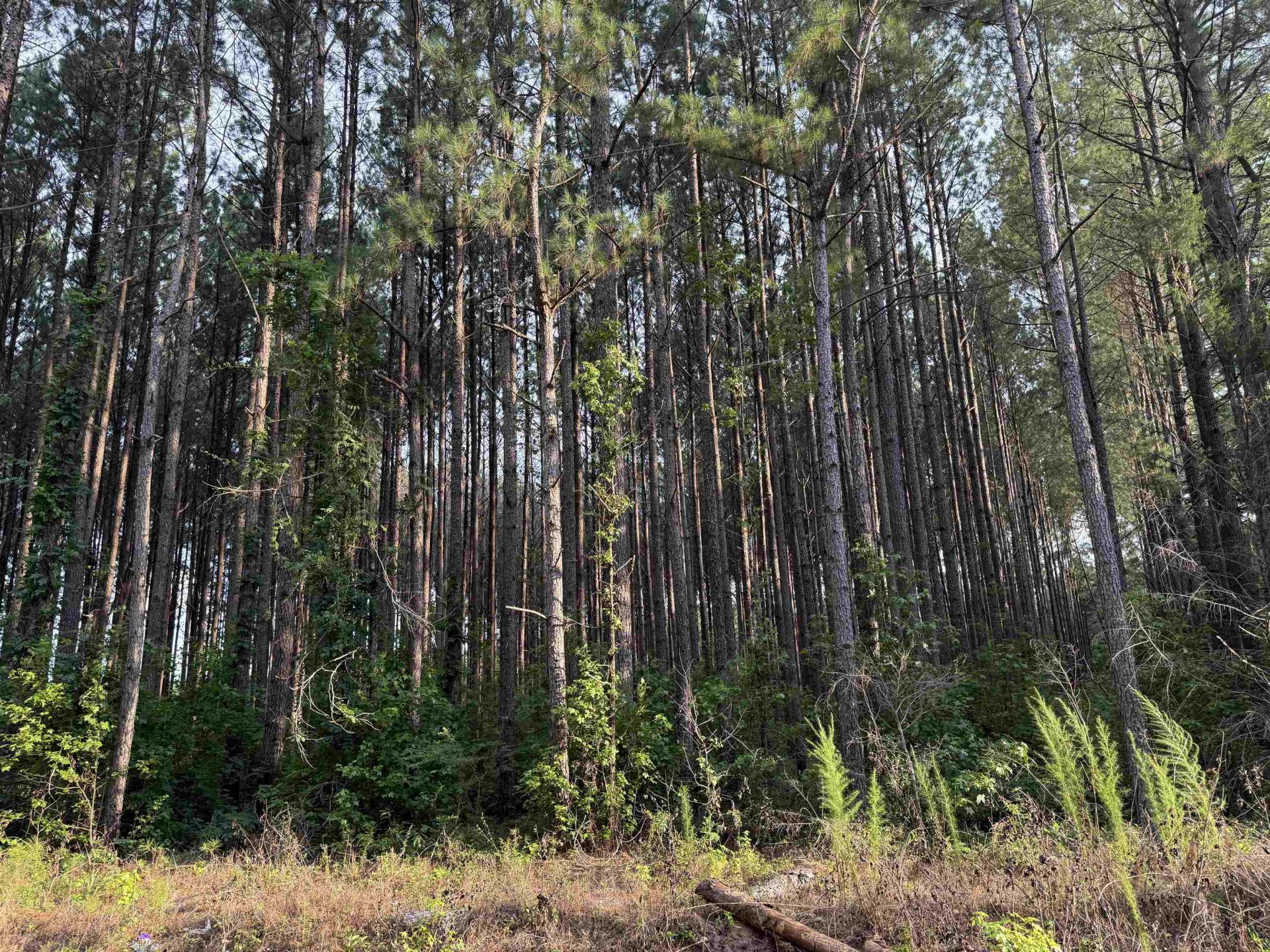 0 S Country Club Rd. Photo 2