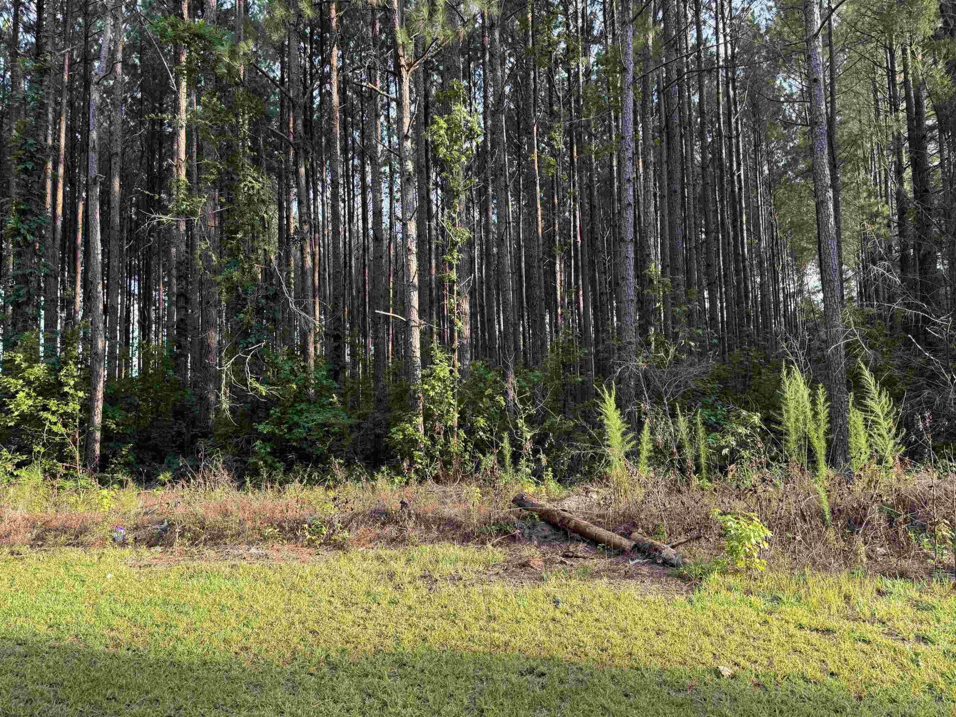 0 S Country Club Rd. Photo 4