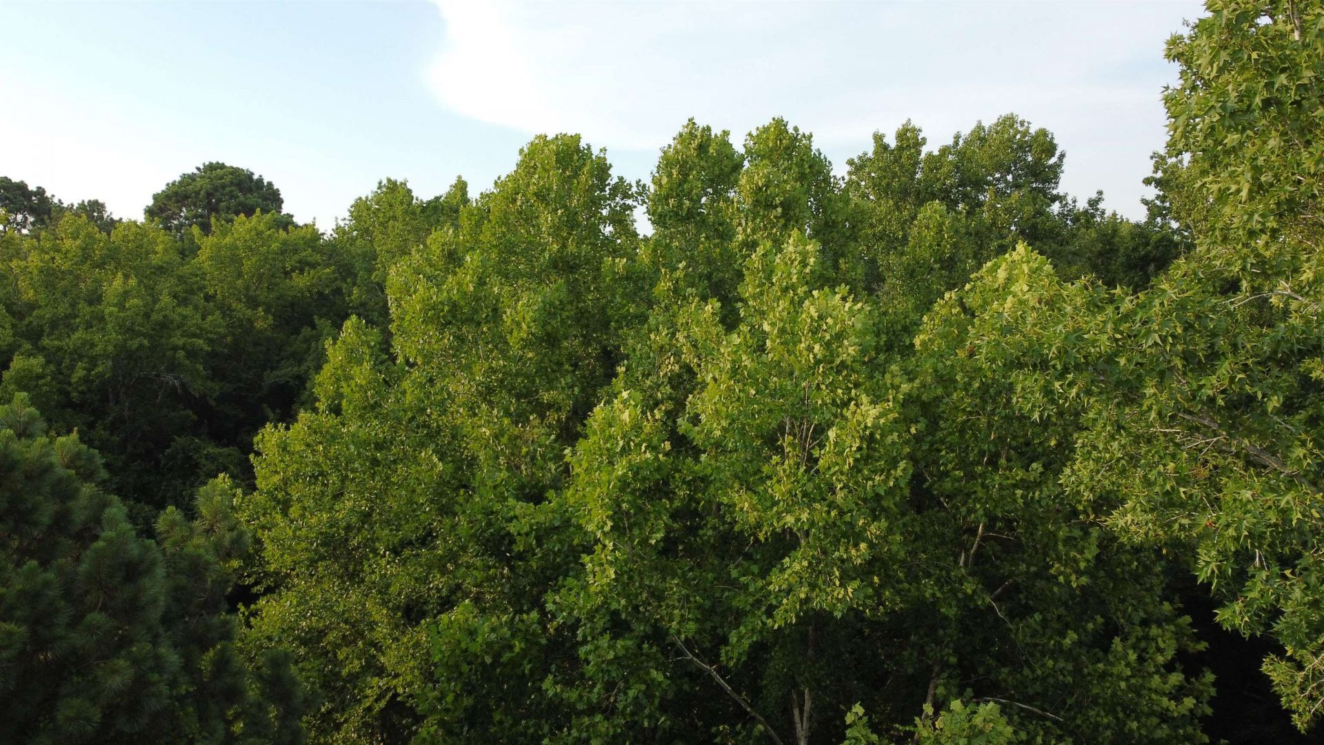 0 S Country Club Rd. Photo 5
