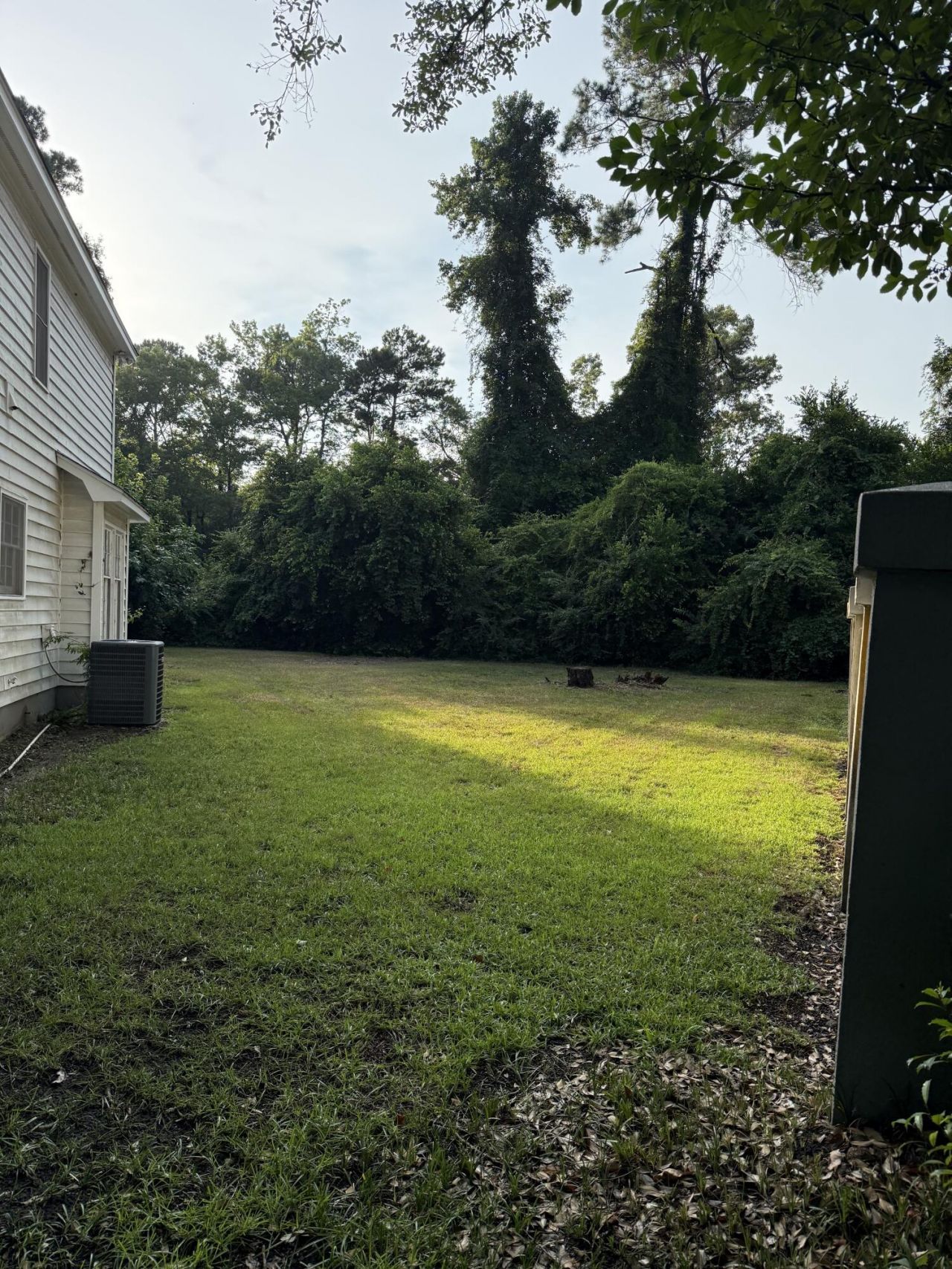 1019 Plantation Court Photo 7