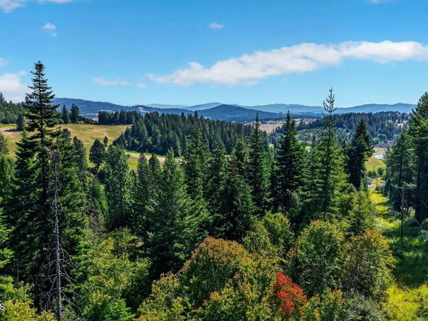 13227 W Elder RD, Worley, ID 83876