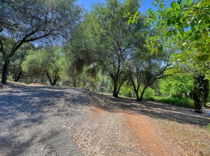 70 Whittington Dr, Newcastle, CA 95658 Photo