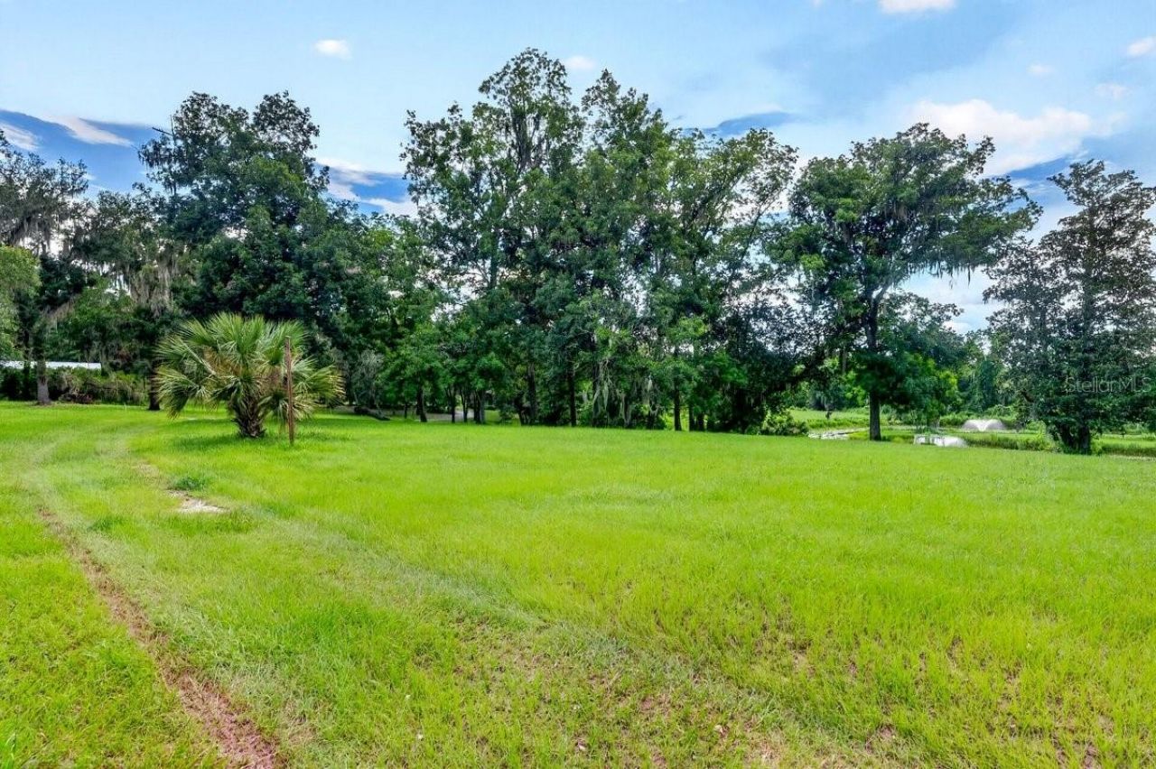 1980 Lake Hires Road, De Leon Springs, FL 32130 Photo