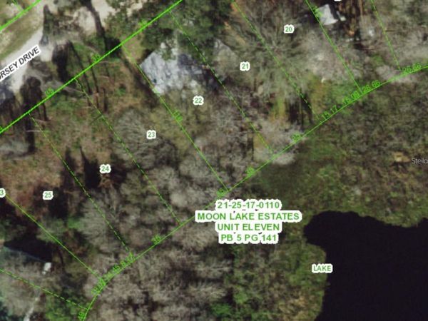 12350 DORSEY DRIVE , NEW PORT RICHEY, FL 34654