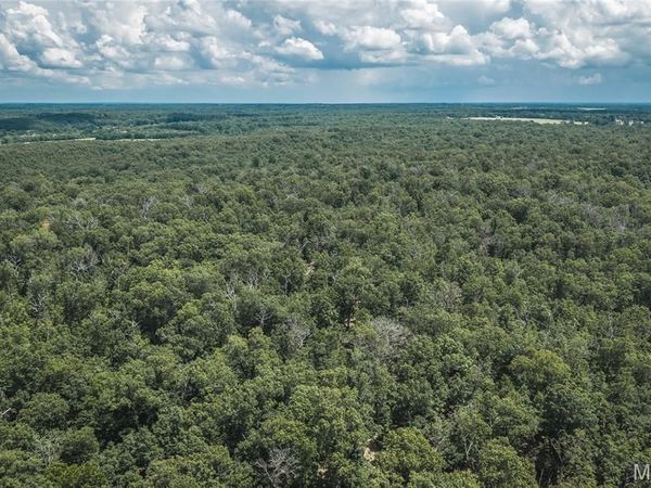 TBD Geronimo Springs Road-Tract 5 , Macks Creek, MO 65786