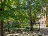 3429 W Adams Street, Chicago, IL 60624 primary photo