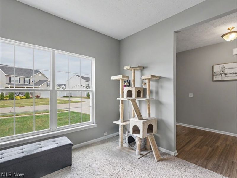 37379 Hunter Lake Drive, North Ridgeville, OH 44039 Photo 16