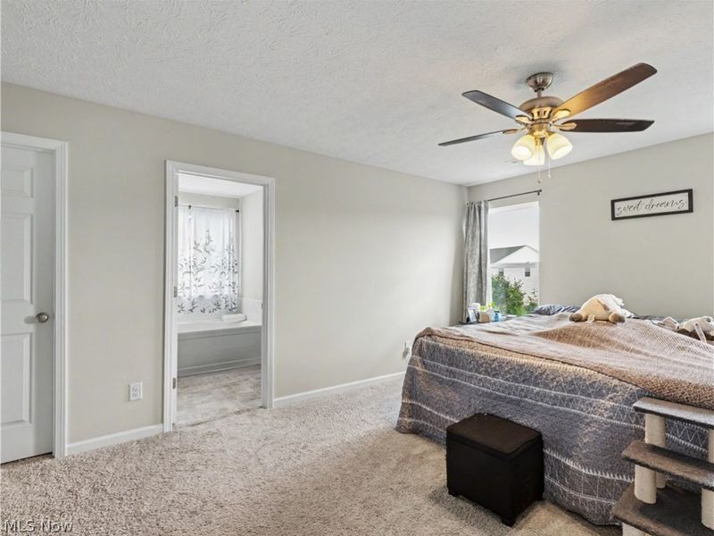 37379 Hunter Lake Drive, North Ridgeville, OH 44039 Photo 18