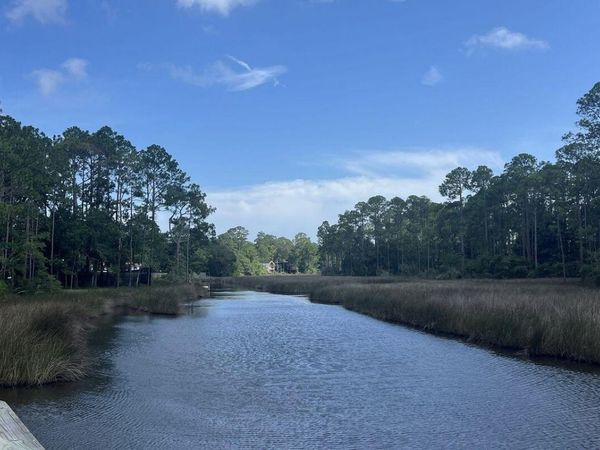1185 N Co Highway 393, Santa Rosa Beach, FL 32459
