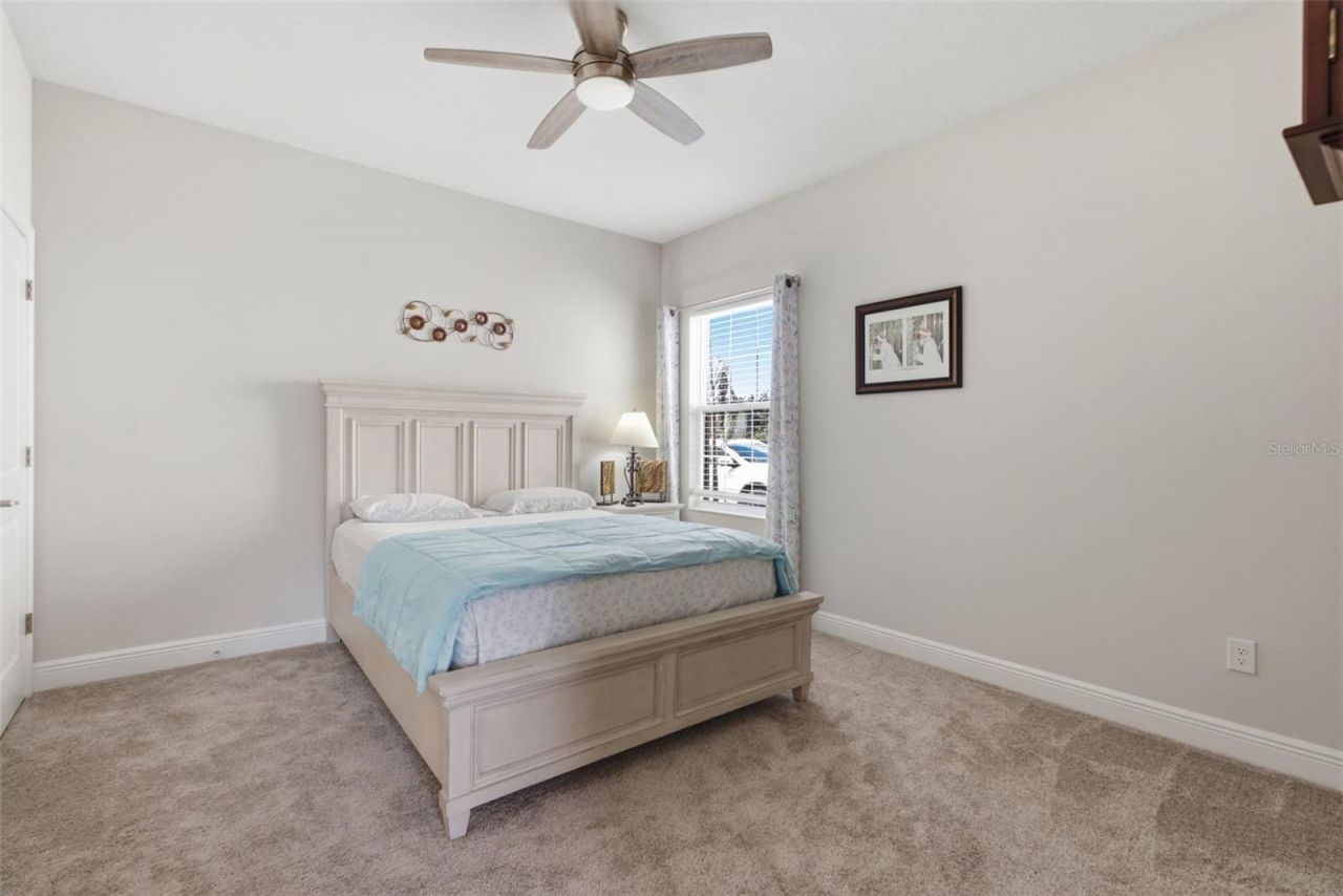 12970 Steed Trace Loop, Lithia, FL 33547 Photo