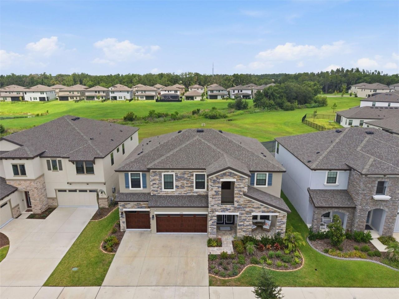12970 Steed Trace Loop, Lithia, FL 33547 Photo