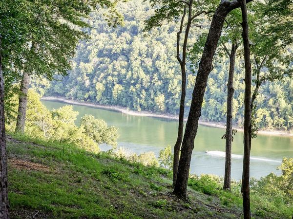 490 January Pl , Smithville, TN 37166