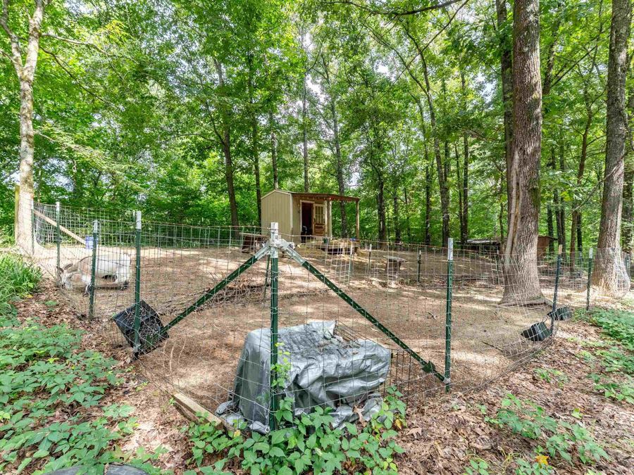 Property Image 15