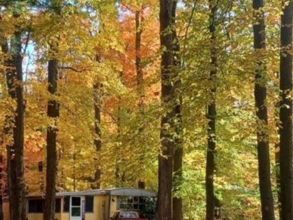 2776 19 Mile Road NE, Cedar Springs, MI 49319