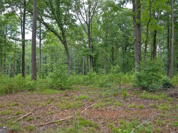91 Askin Place, Culloden, GA 31016