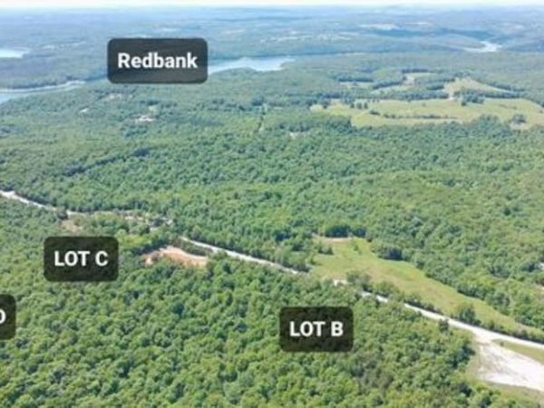 6739 Hwy 101, Gamaliel, AR 72537
