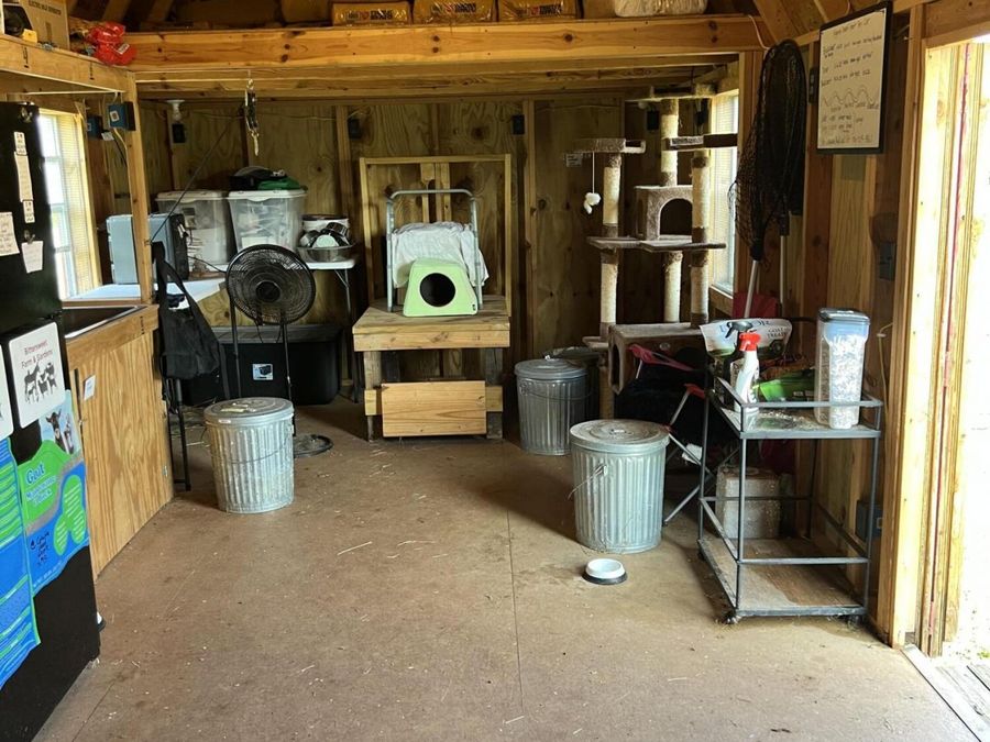 Property Image 110