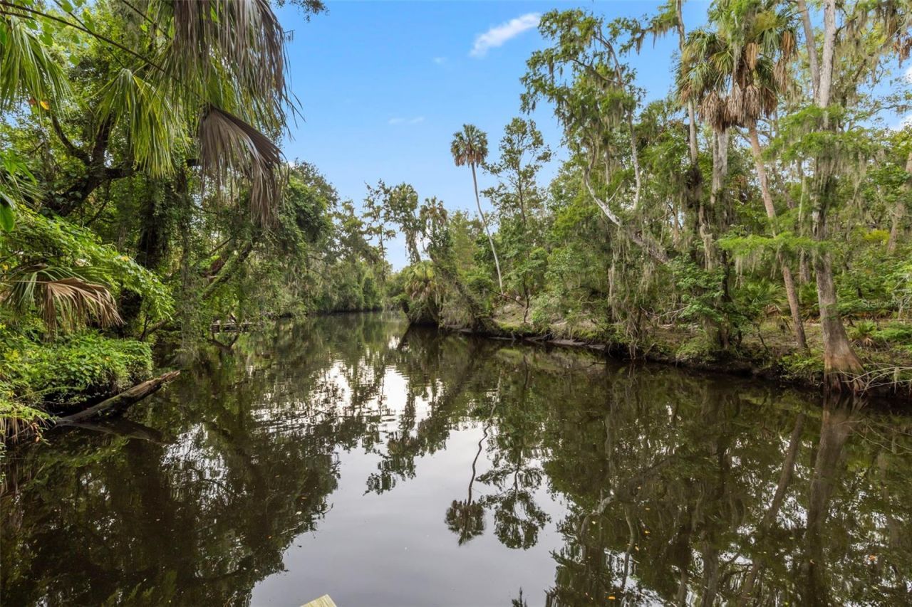 8312 Revels Road , Riverview, FL 33569 Photo